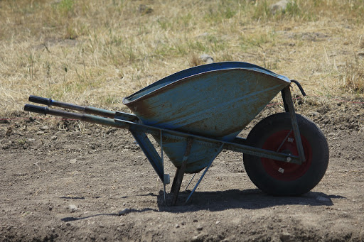 Photographic Evidence Part II