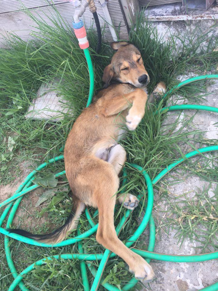 13515185_10201705379112496_2142608066_n