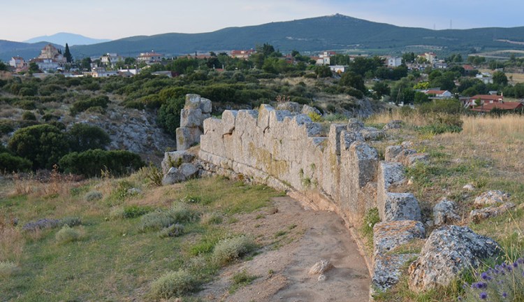 polygonal arma E15_4089